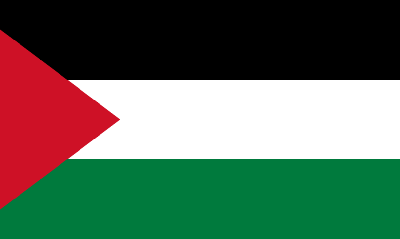 Libération de Ahed Tamini  et retour sur la Palestine